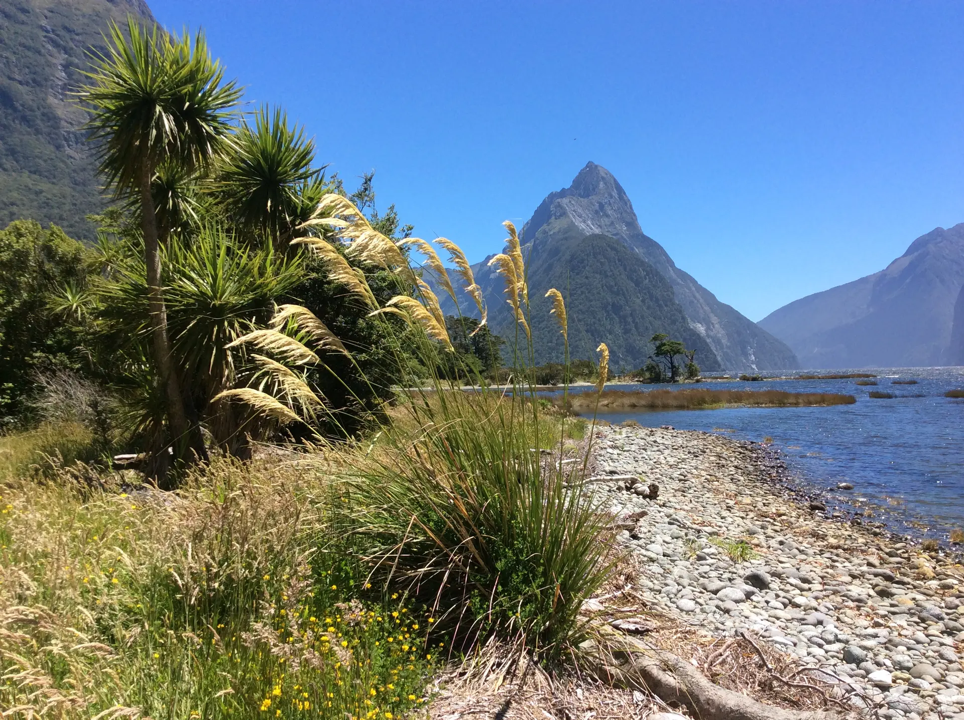 New Zealand travel